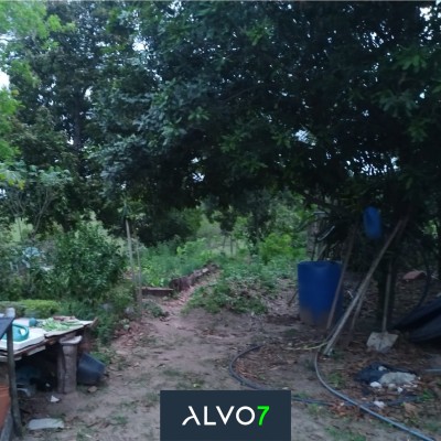 VENDA - Sítio 3 km de Duartina.