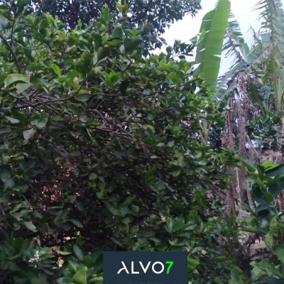 VENDA - Sítio 3 km de Duartina.