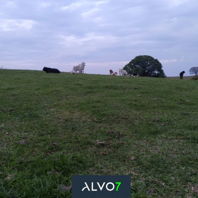 VENDA - Sítio 3 km de Duartina.