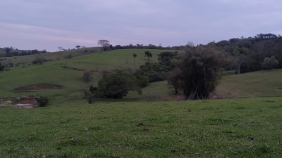 VENDA - Sítio 3 km de Duartina.