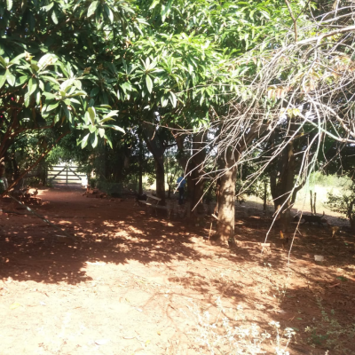 VENDA IMÓVEL RESIDENCIAL SANTA IZABEL - AREALVA