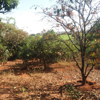 VENDA IMÓVEL RESIDENCIAL SANTA IZABEL - AREALVA