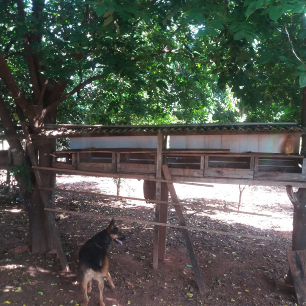 VENDA IMÓVEL RESIDENCIAL SANTA IZABEL - AREALVA-4