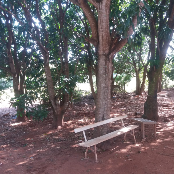 VENDA IMÓVEL RESIDENCIAL SANTA IZABEL - AREALVA-3