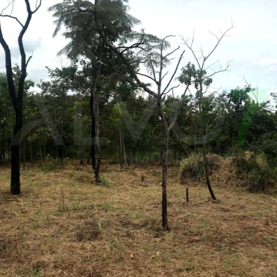 VENDA LOTE VALE DO IGAPÓ