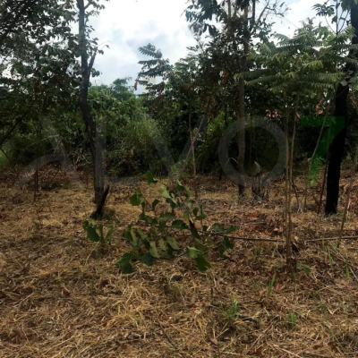 VENDA LOTE VALE DO IGAPÓ