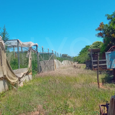 VENDA SÍTIO PRESIDENTE ALVES