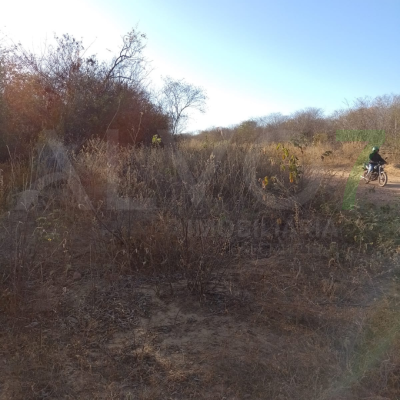 VENDA TERRENO EM PIAUÍ